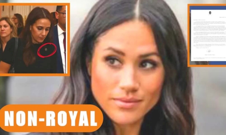 Palace Sends Cease and Desist Order to Sussexes Over Controversial Pins