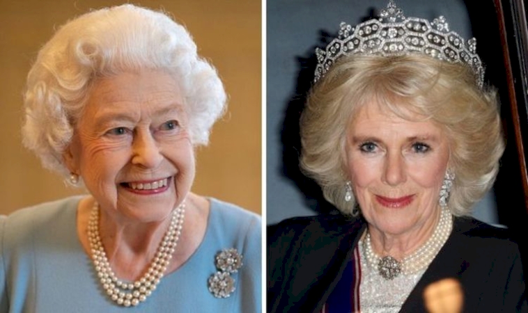 Royal Tensions Rise: Queen Camilla’s Controversial Intervention in Prince Louis’ Future